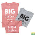 Big Sister Again Big Brother Finally Matching Sibling Shirts